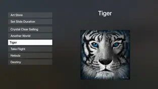 ArtPortal tiger theme selection