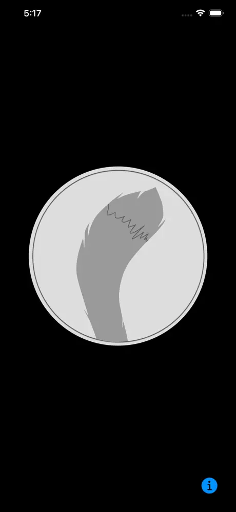 CoinApp showing tails